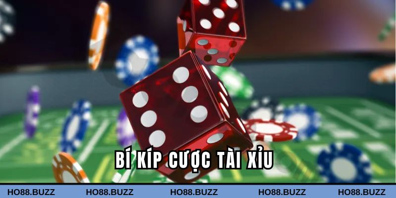 Bí kíp cược tài xỉu