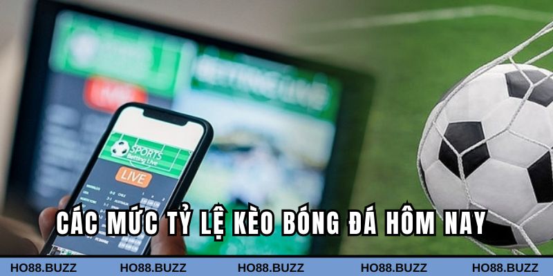 Các mức tỷ lệ kèo cược bạn cần nắm chắc Các mức tỷ lệ kèo cược bạn cần nắm chắc