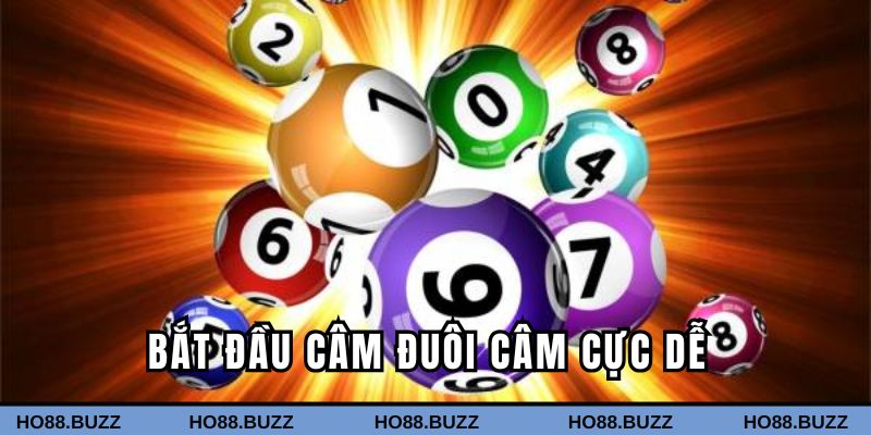 Bắt đầu câm đuôi câm siêu dễ