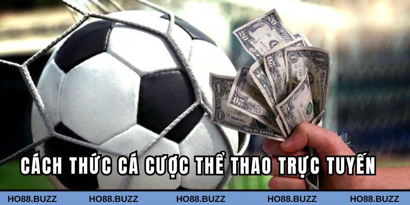 Từng bước tham gia cá độ đơn giản cho bet thủ Từng bước tham gia cá độ đơn giản cho bet thủ