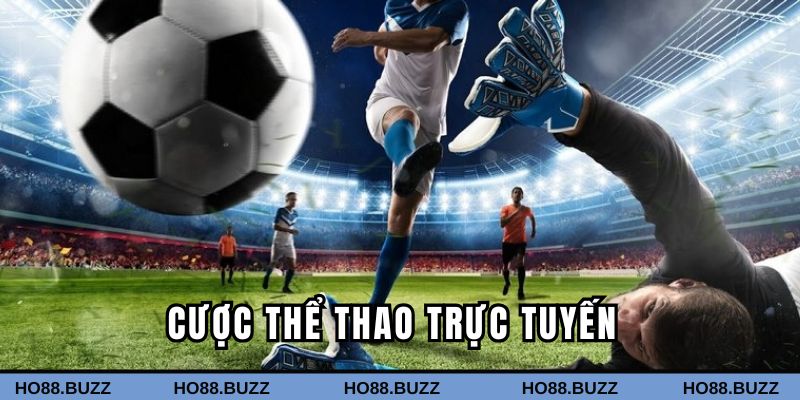 Cược thể thao trực tuyến