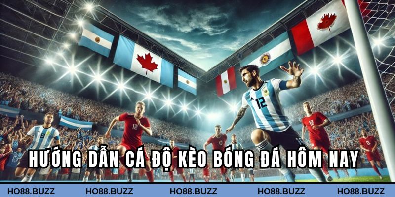 Hướng dẫn cá độ dành cho bet thủ Hướng dẫn cá độ dành cho bet thủ