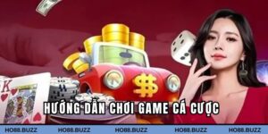 Hướng dẫn chơi game cá cược