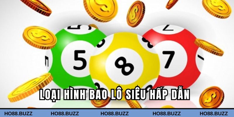 Loại hình bao lô hấp dẫn