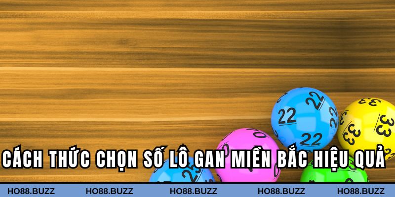 Cách thức chọn số lô gan tại miền Bắc hiệu quả
