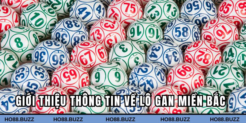 Giới thiệu thông tin về lô gan miền Bắc