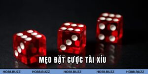 mẹo đặt cược tài xỉu