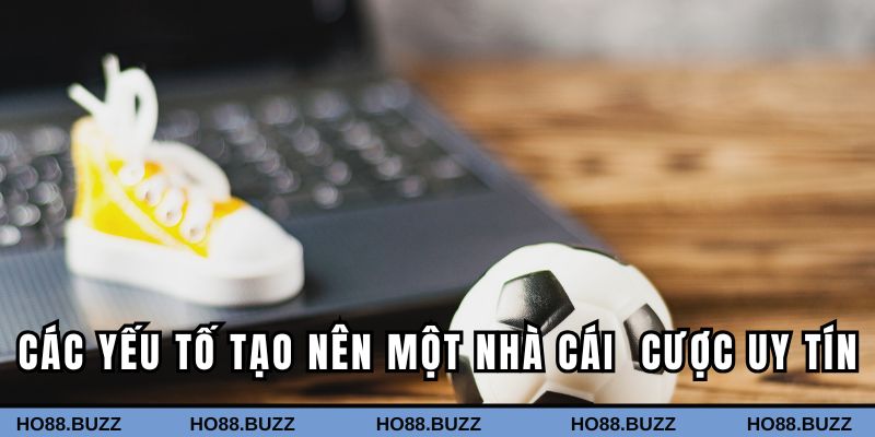 Các yếu tố tạo nên một nhà cái thể thao cược uy tín