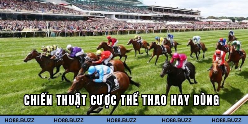 Tổng hợp chiến thuật cá độ thể thao dễ dùng tại Ho88