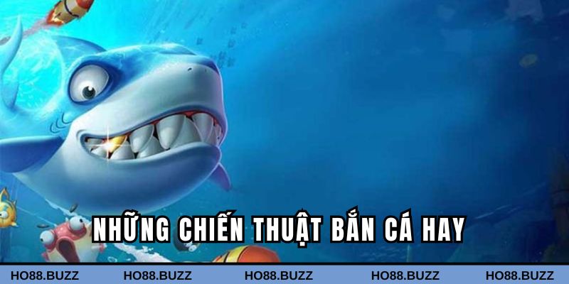 Tổng hợp nhiều chiến lược săn bắt cá hiệu quả từ cao thủ