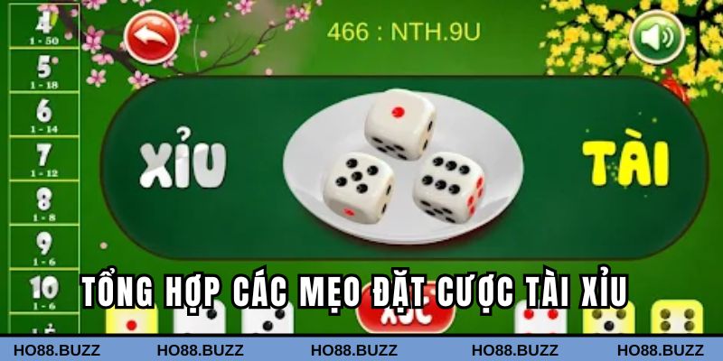 Tổng hợp các mẹo đặt cược tài xỉu tại Ho88
